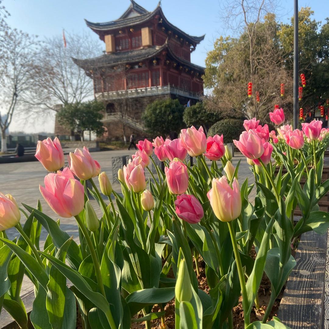 爱吃的大表姐