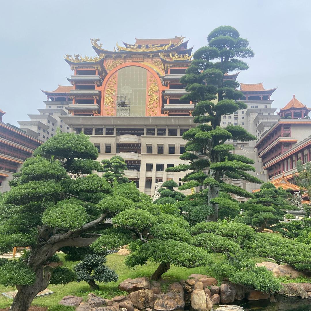 野狼哥