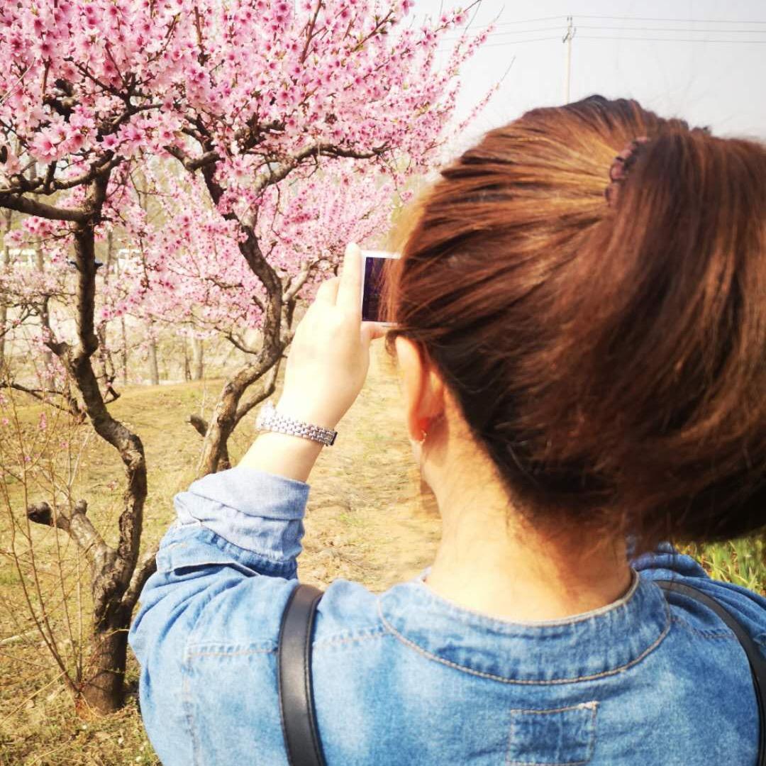 丽