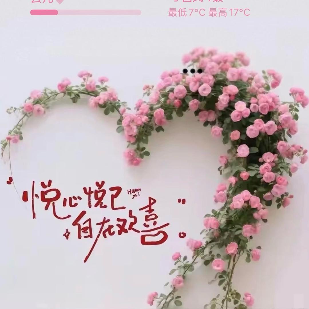 🥀₅²⁰傻ོ丫头ོ¹ᶟ₁