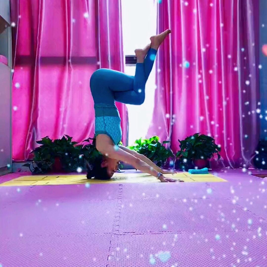 禅修Yogo