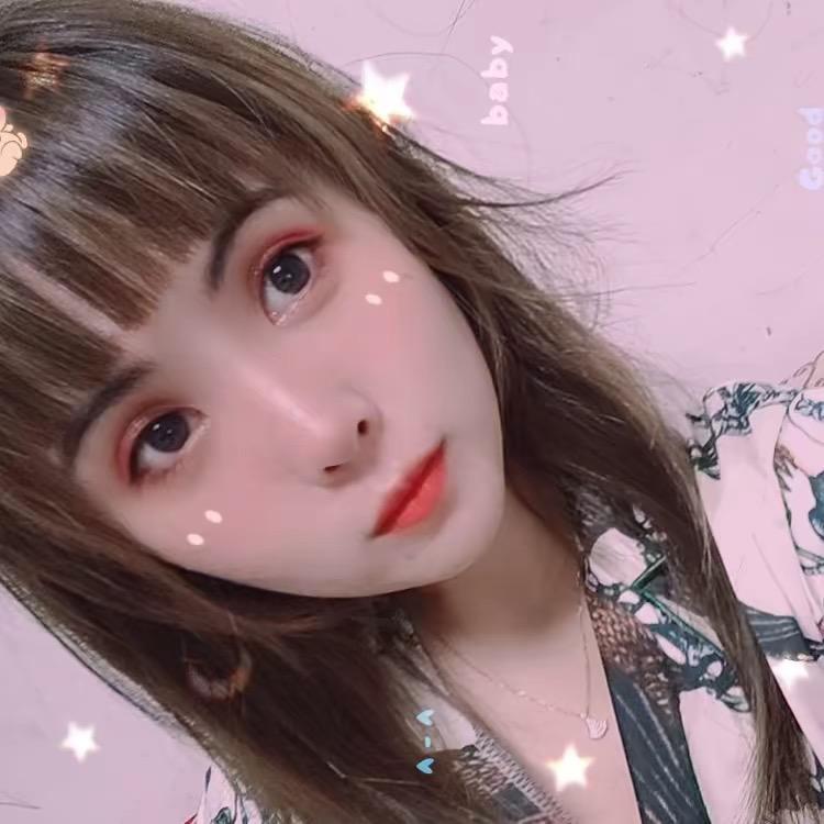 安阳市雨轩黄河滩羊总代理丁记牛羊肉