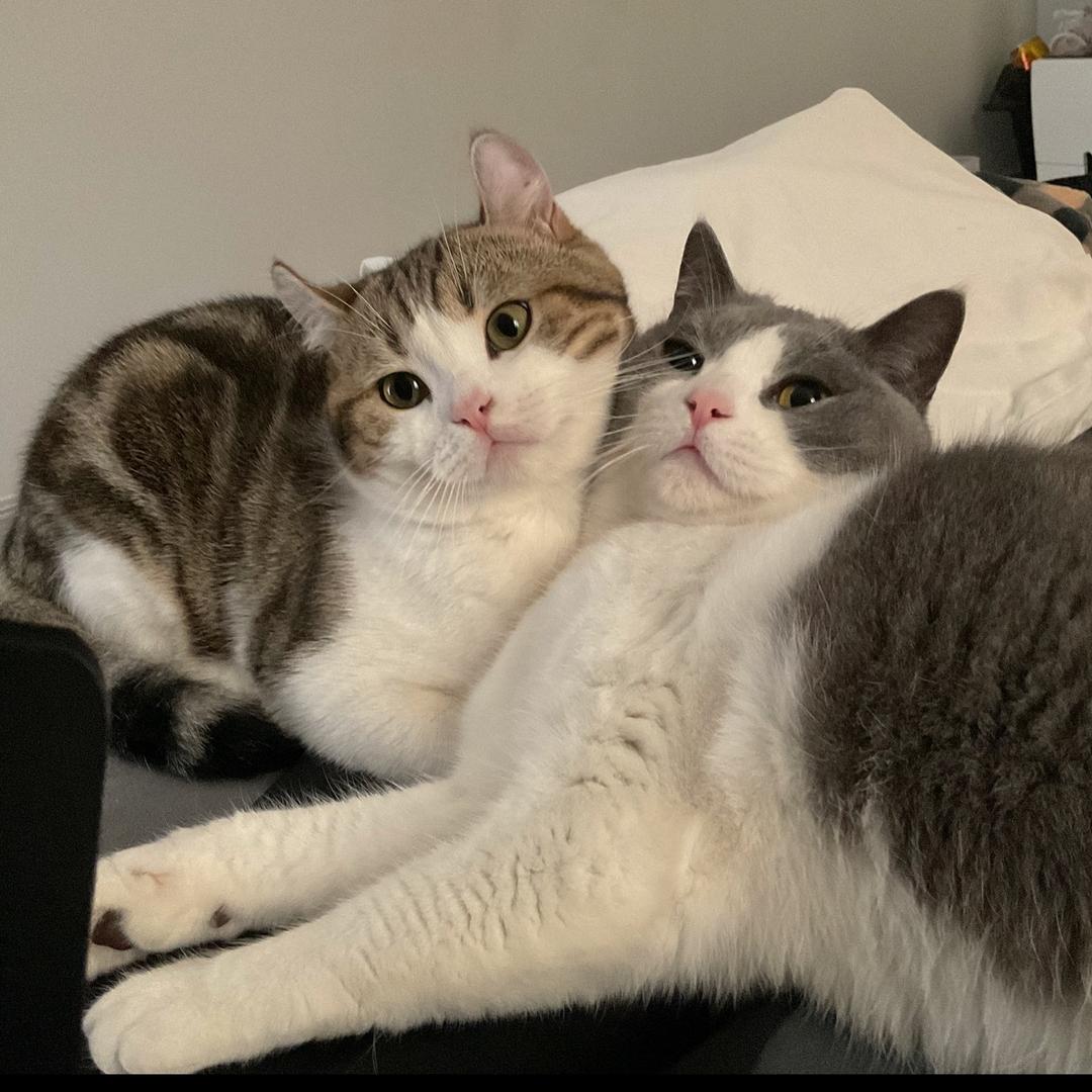 插排嘴超大@抖音