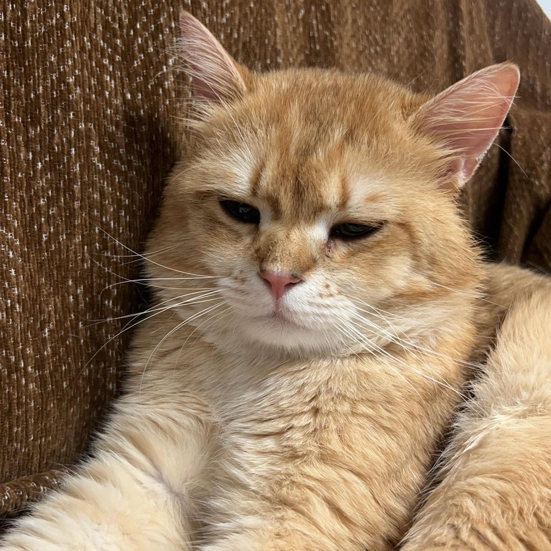 下次也不一定哈