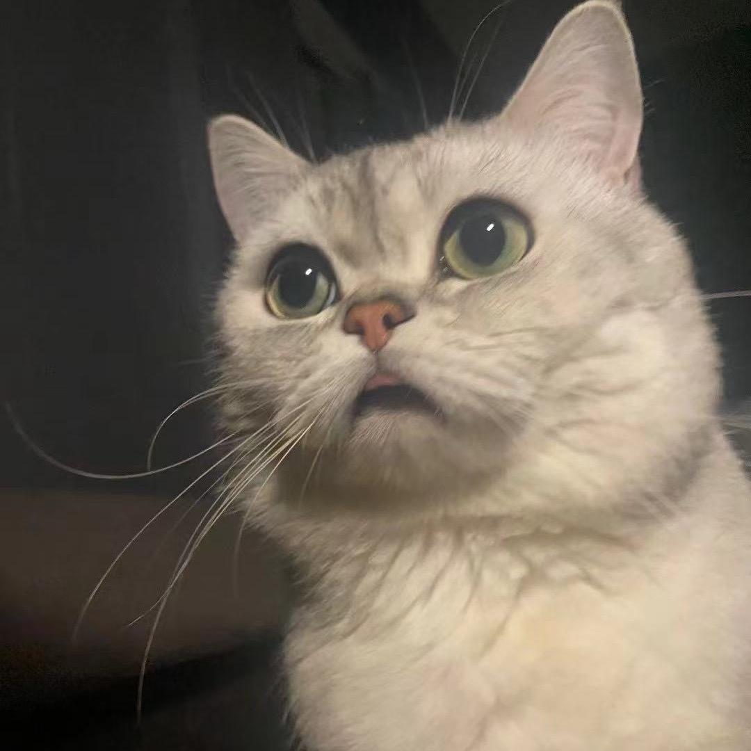 玲珑#