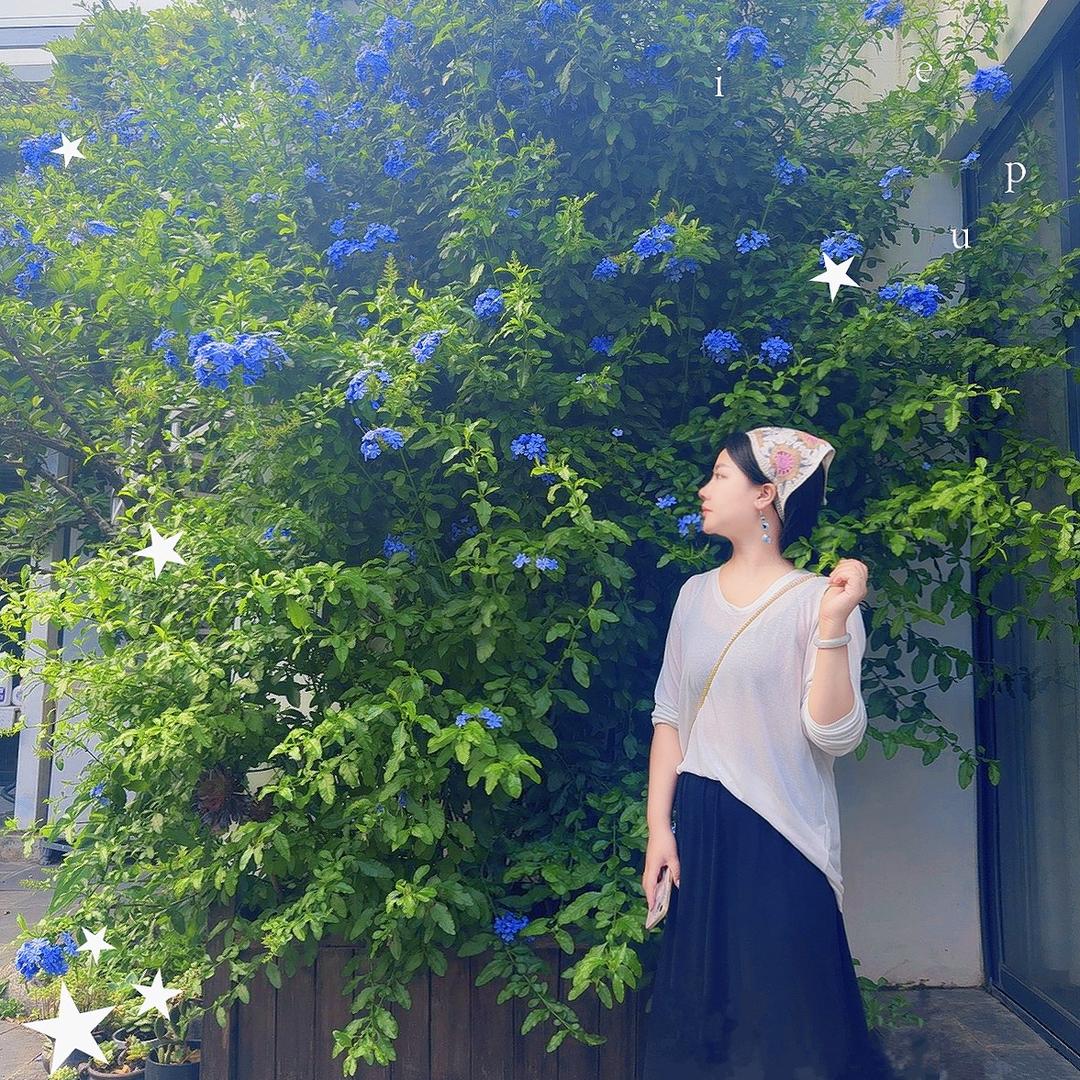 廖文翎·ling