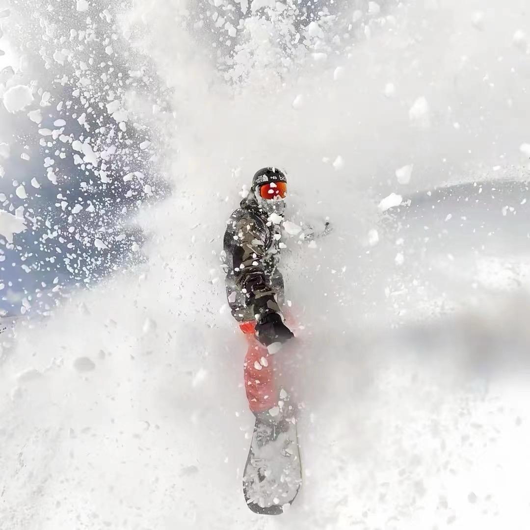 大河向东刘先生👑