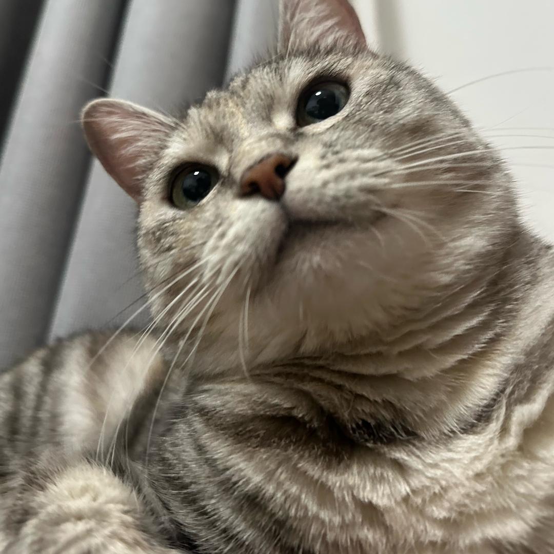 云云