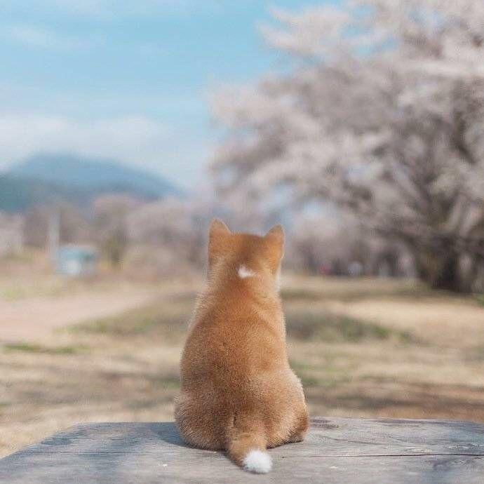 别再蹉跎岁月了头像