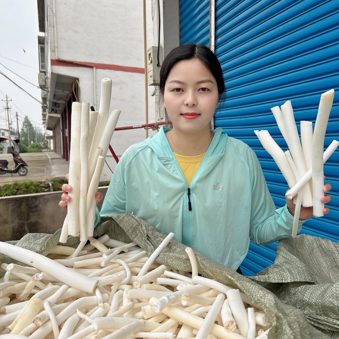 药材丽英
