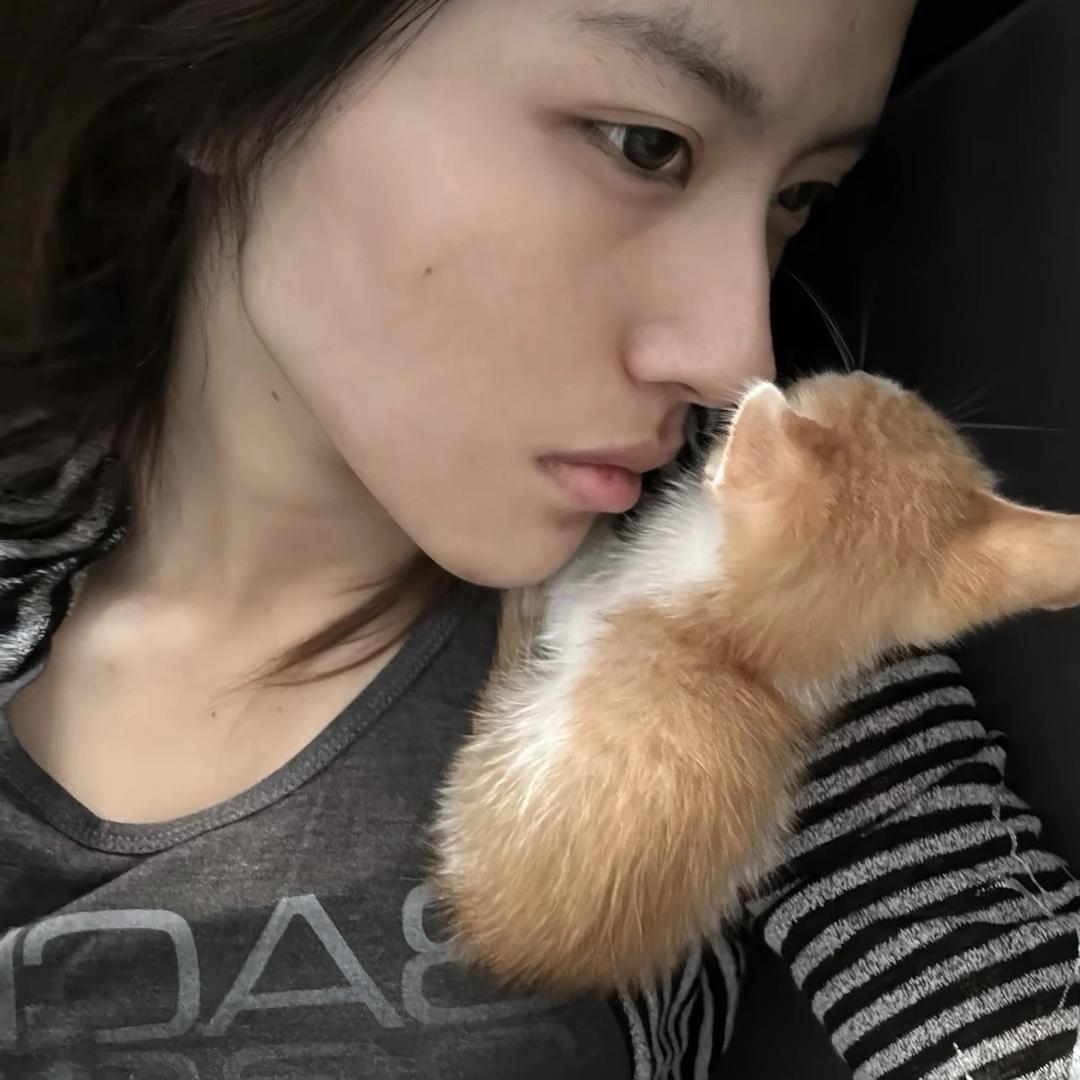 不是星