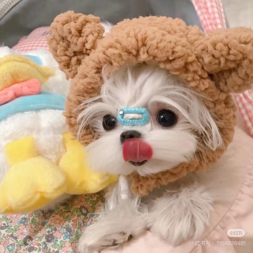 童话小屋diy（对对碰版）