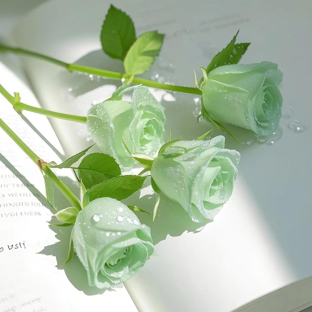 生活智慧