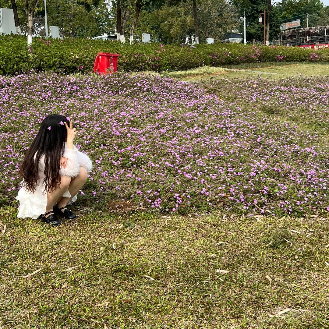 🍀 🐾: