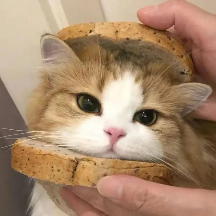 不会穿搭蓉蓉子