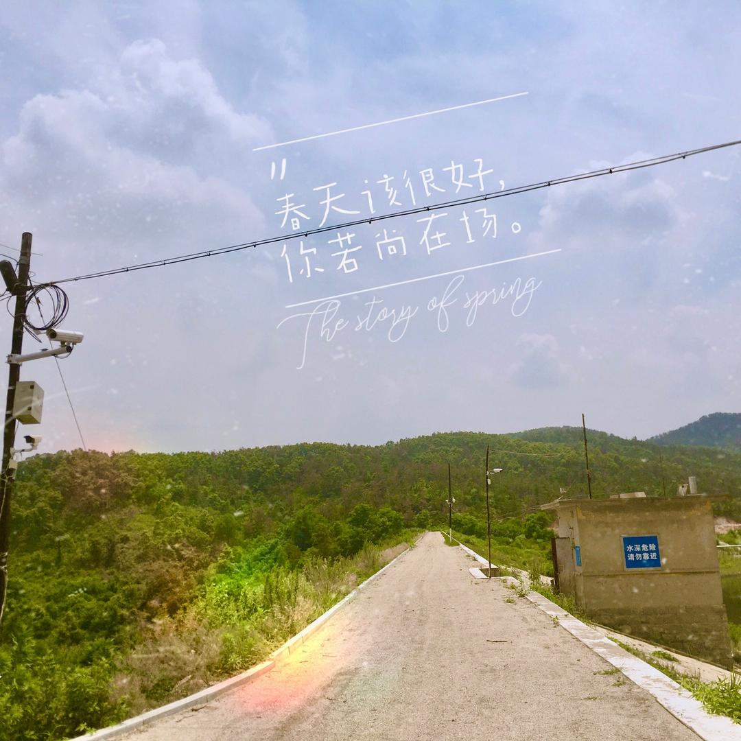 今天是个好日子子