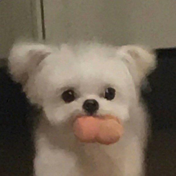骑骑