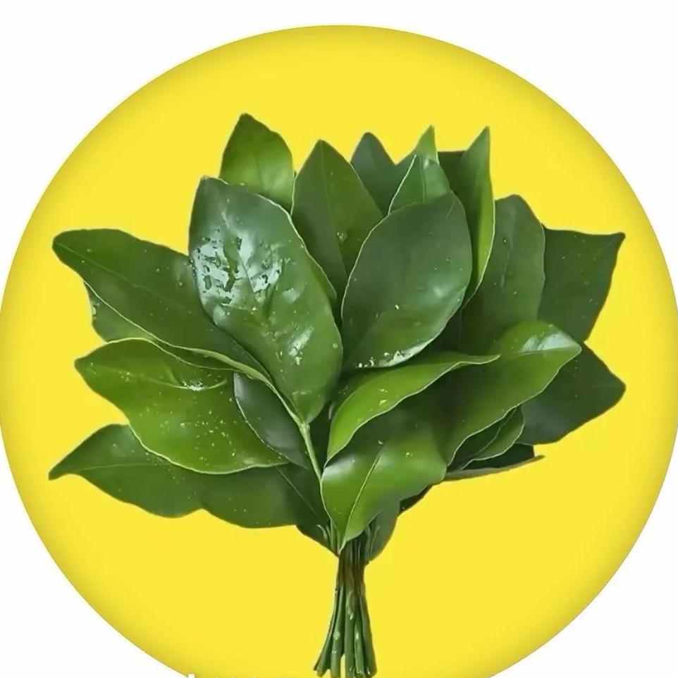 小米的米