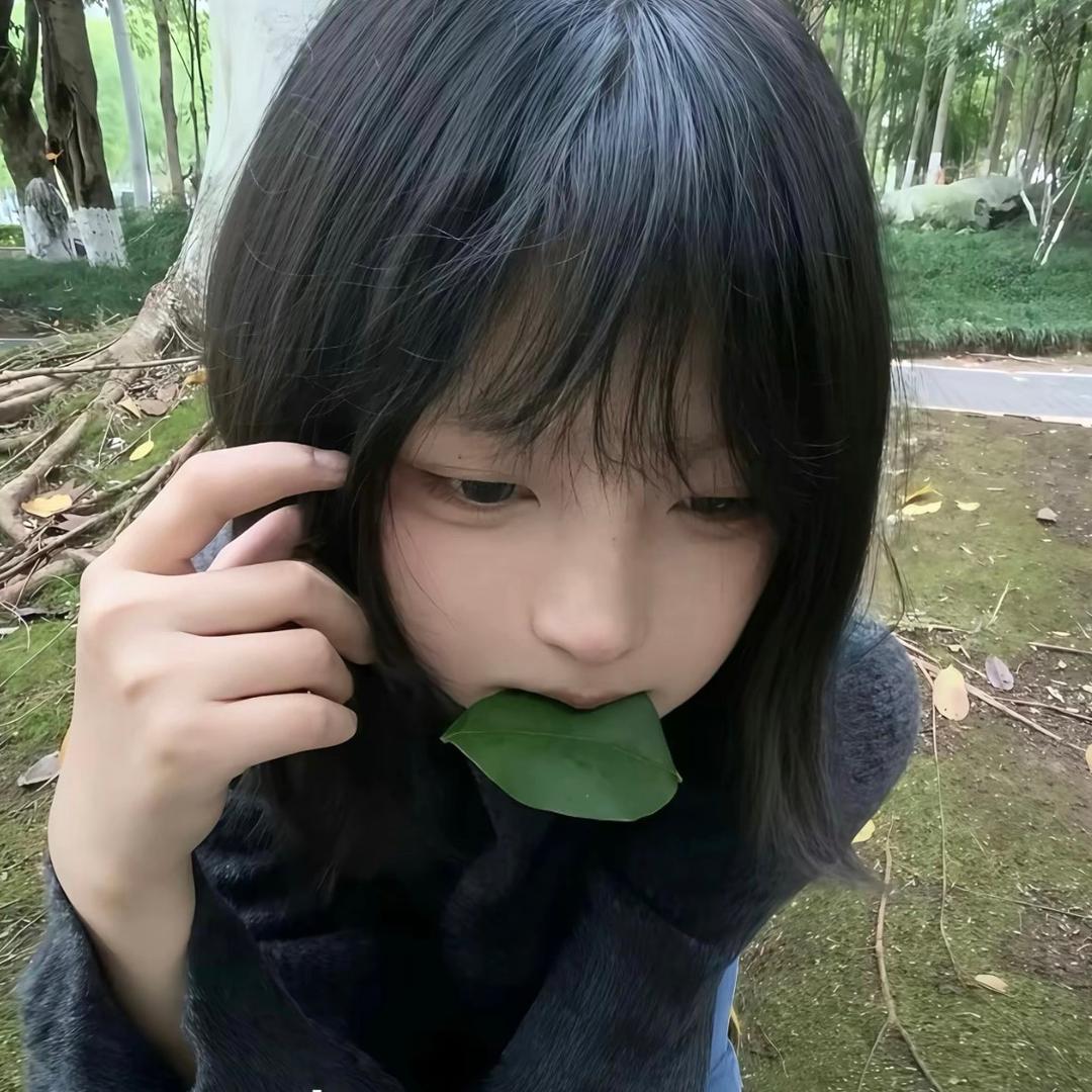 博博🐑