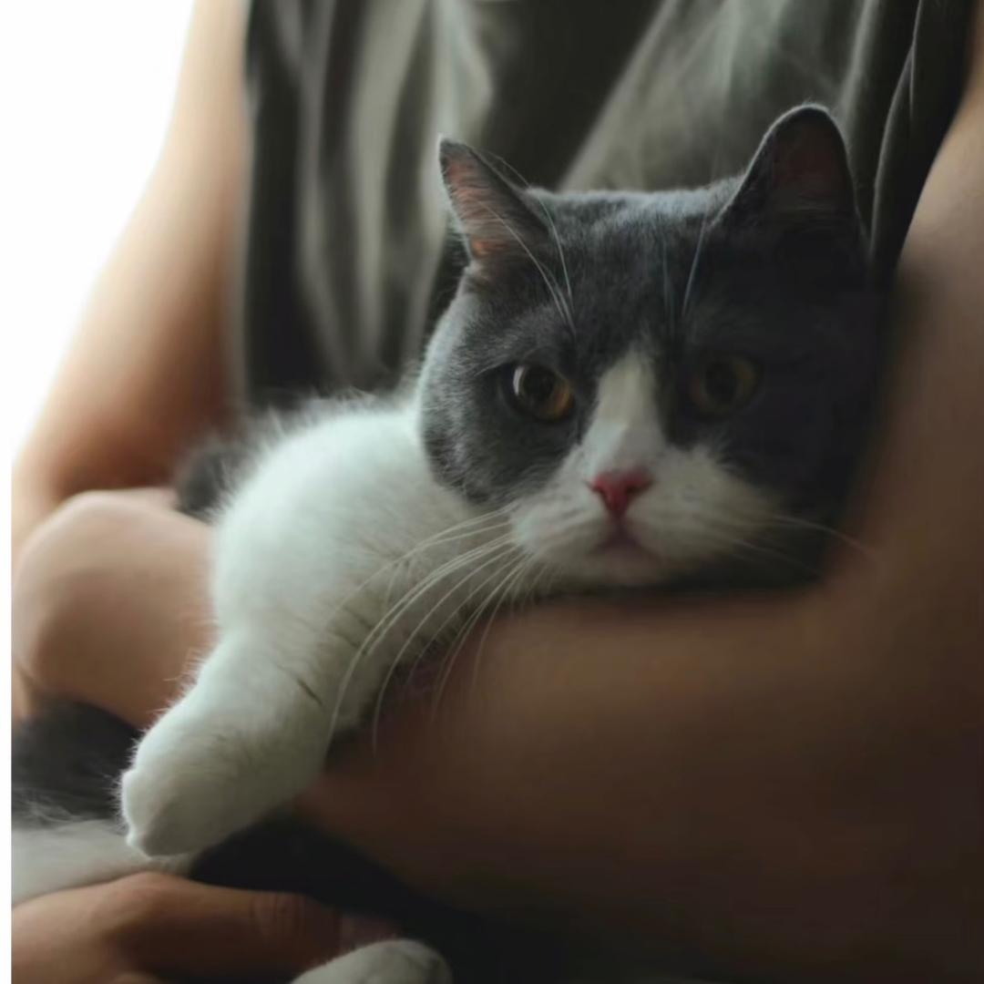 小虾🦐