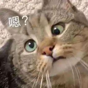 一十三（三角洲行动）