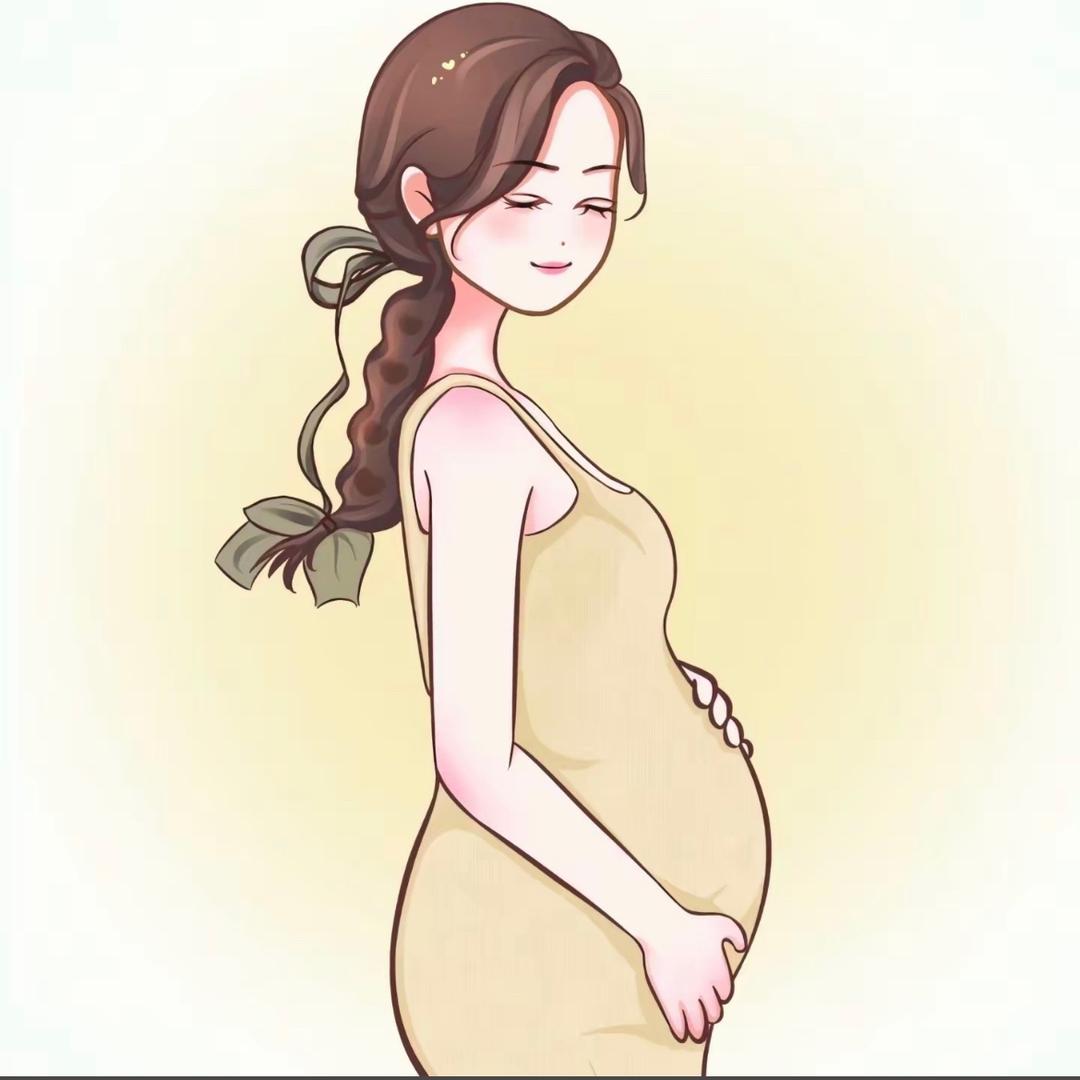 静姐（孕中期）