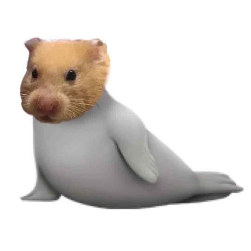 几哈