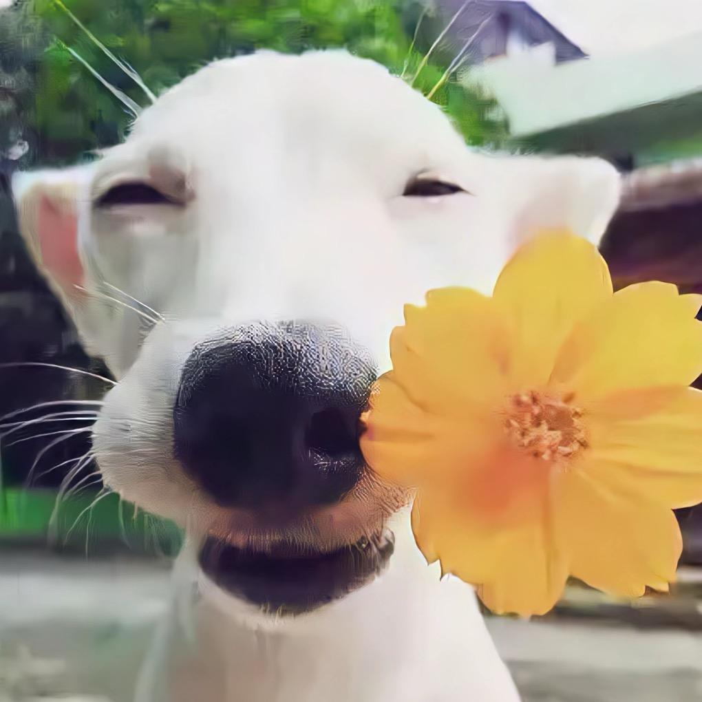 珠珠，