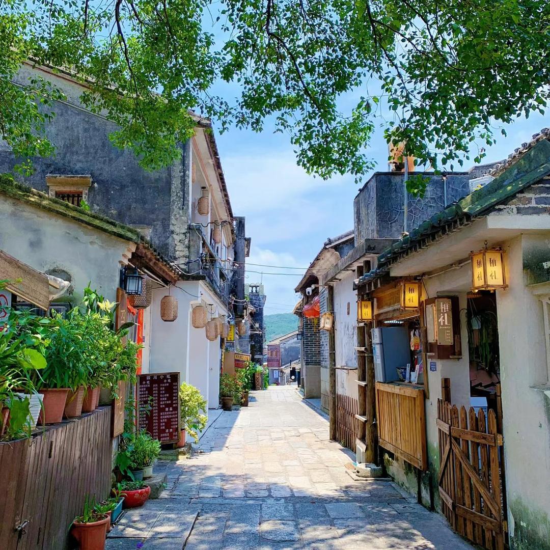 崔妮旅游V