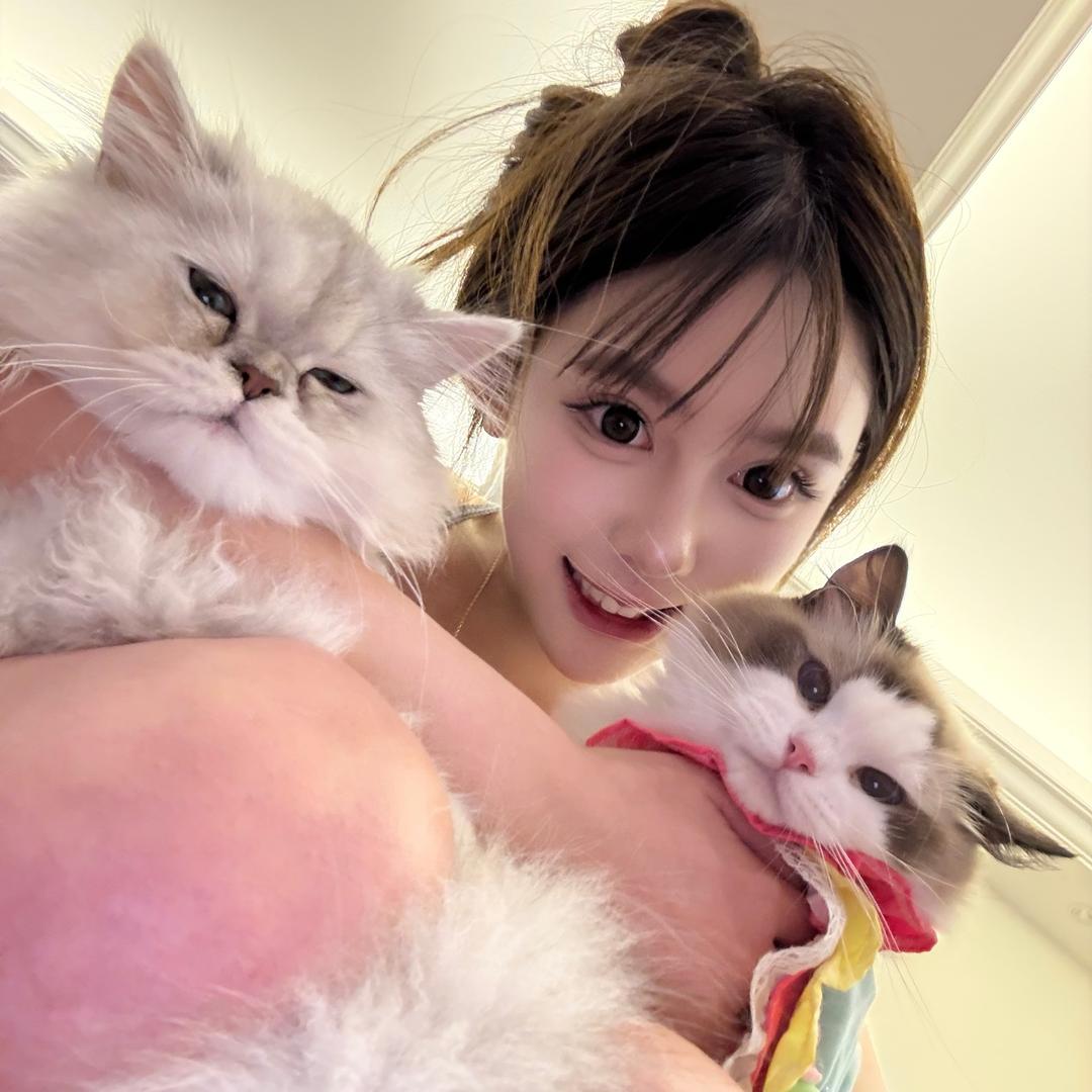 小灰灰