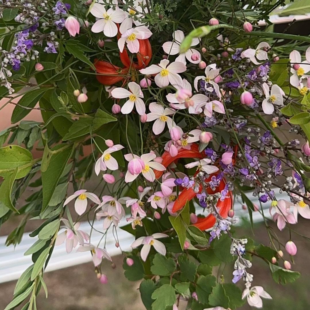 “未”来可期❤️