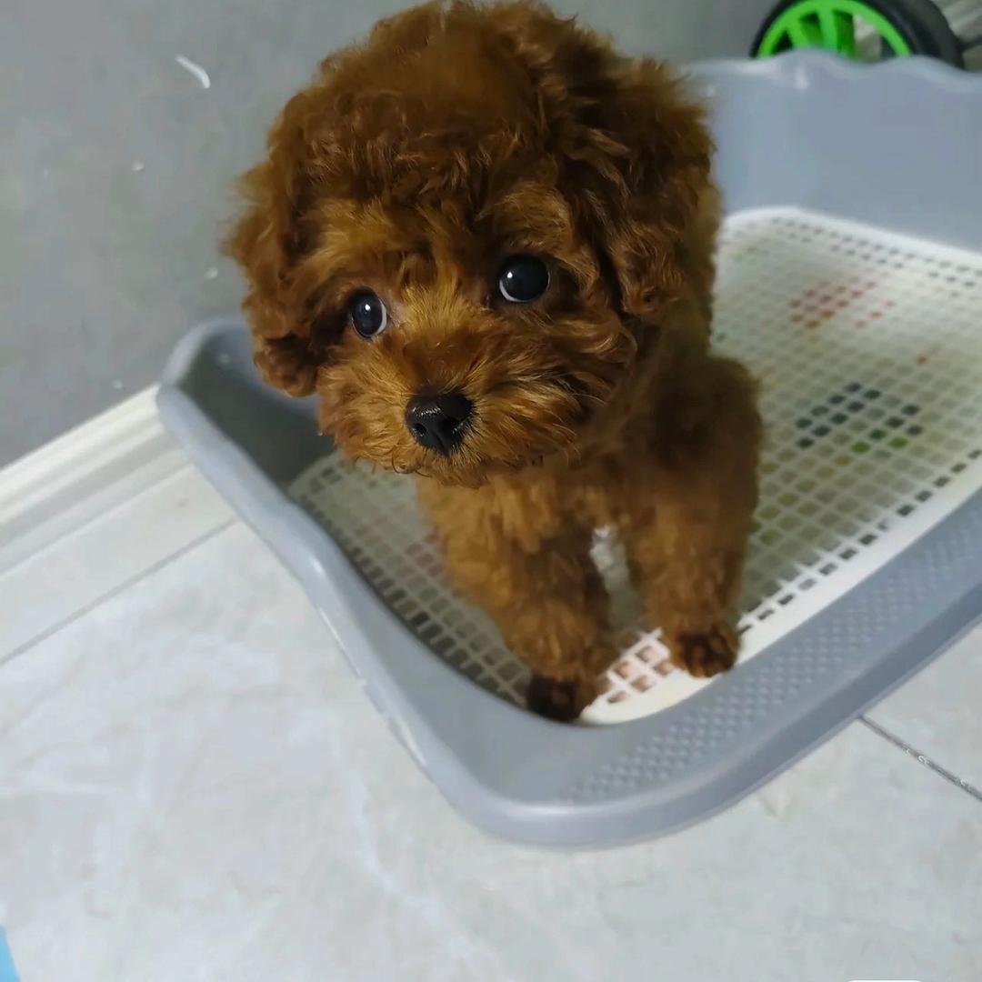 温姐姐美妆间