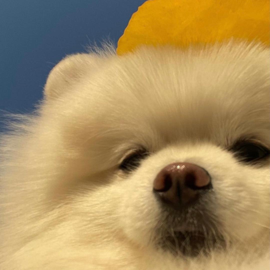 J_y