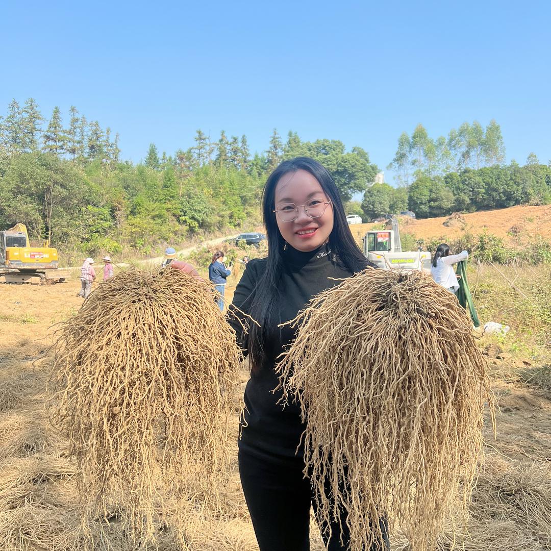 乌石农业妃妃-李经理