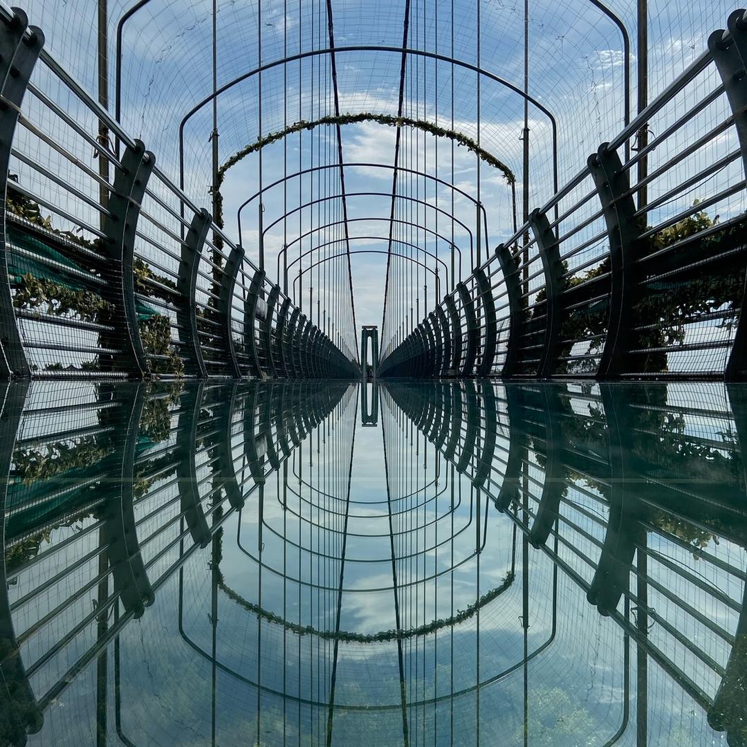 真闲