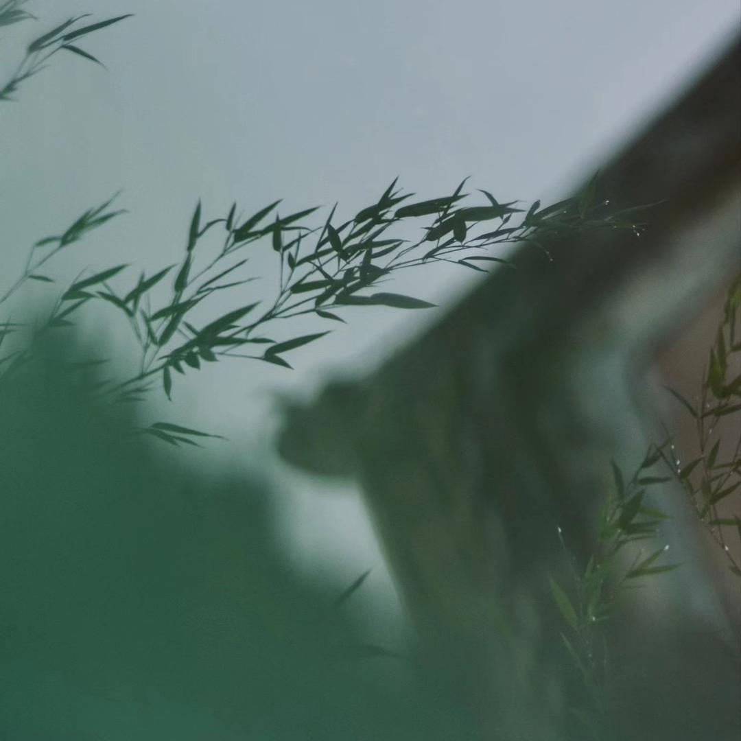 我不是茶神