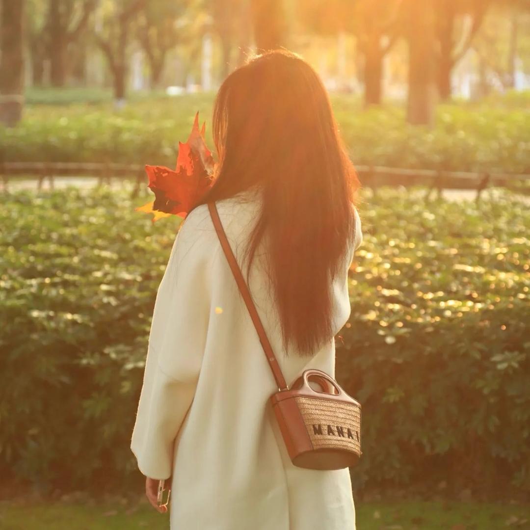 柔魔 （增肌中）