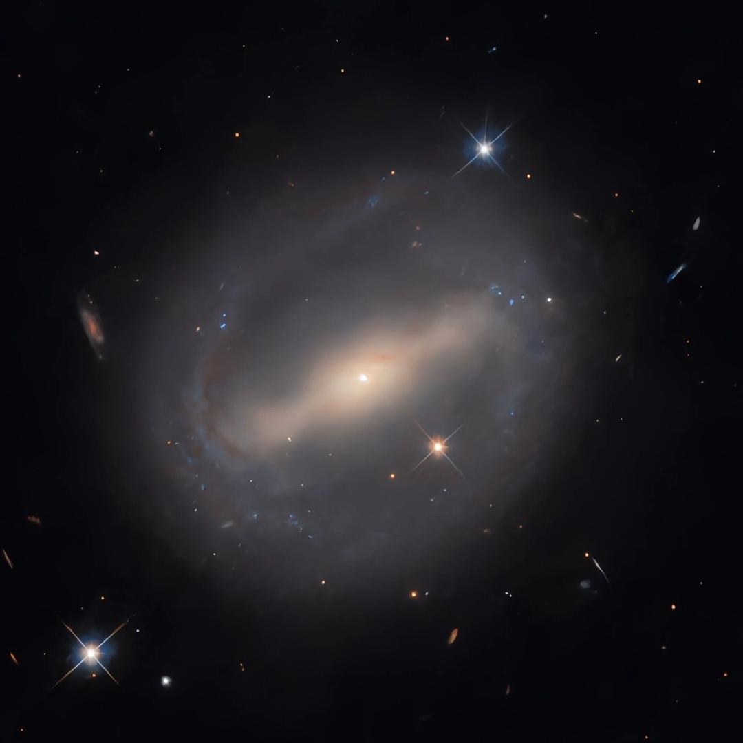 揭阳移动补给顾问