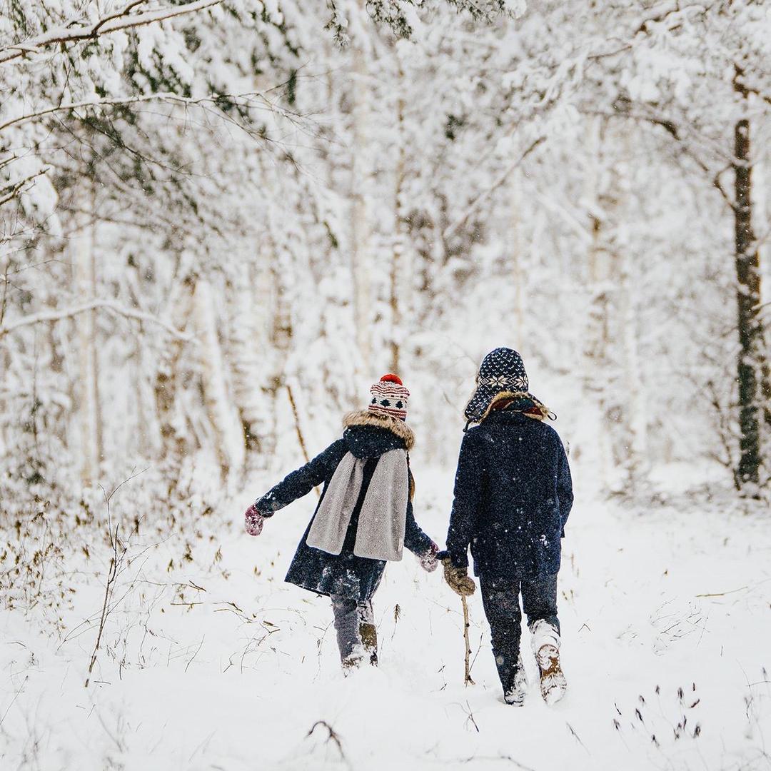 长卷汪小姐的绿野仙踪