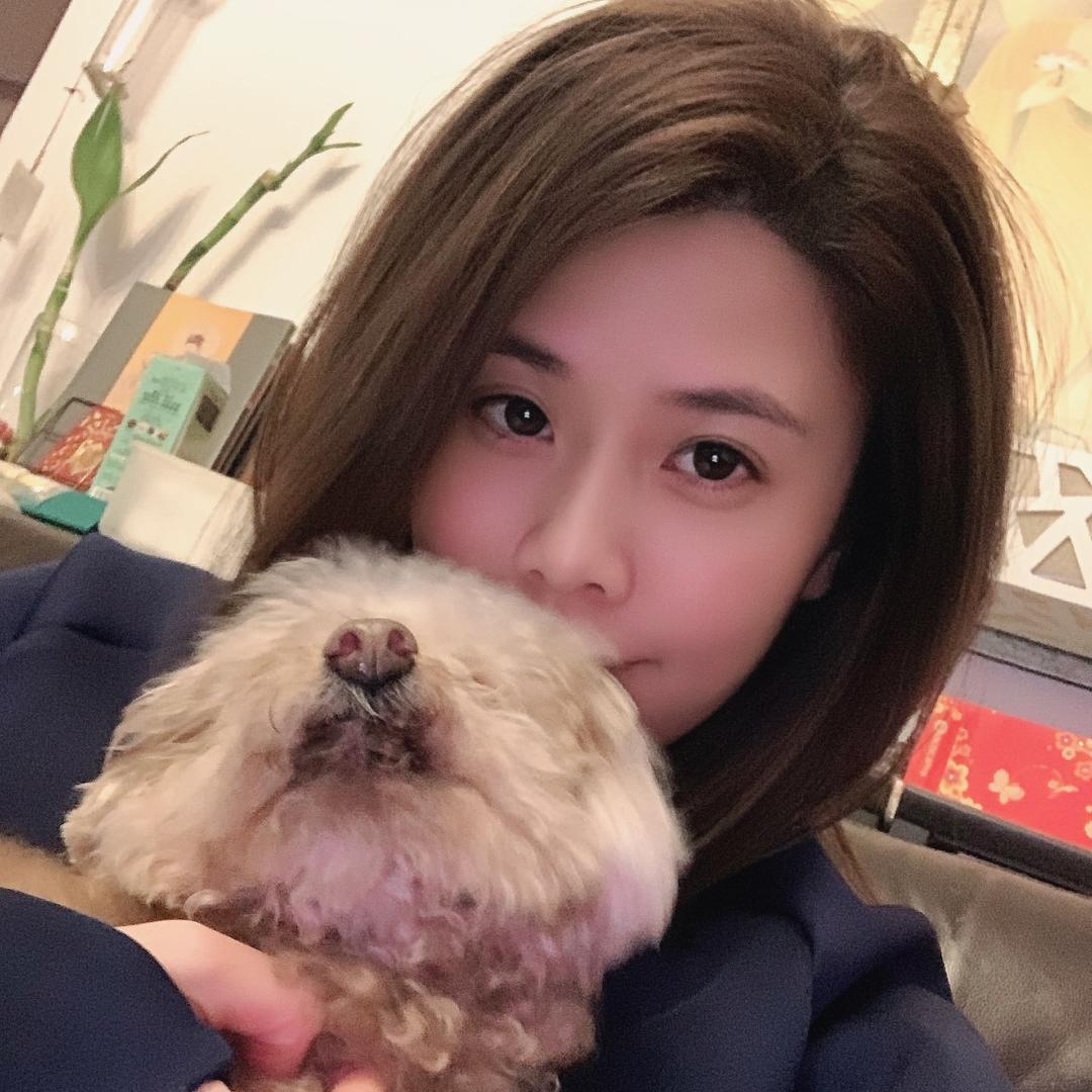 流浪狗