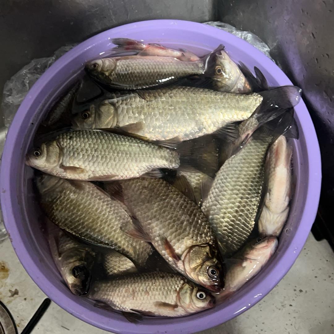 钓鱼佬，爱钓鱼🎣