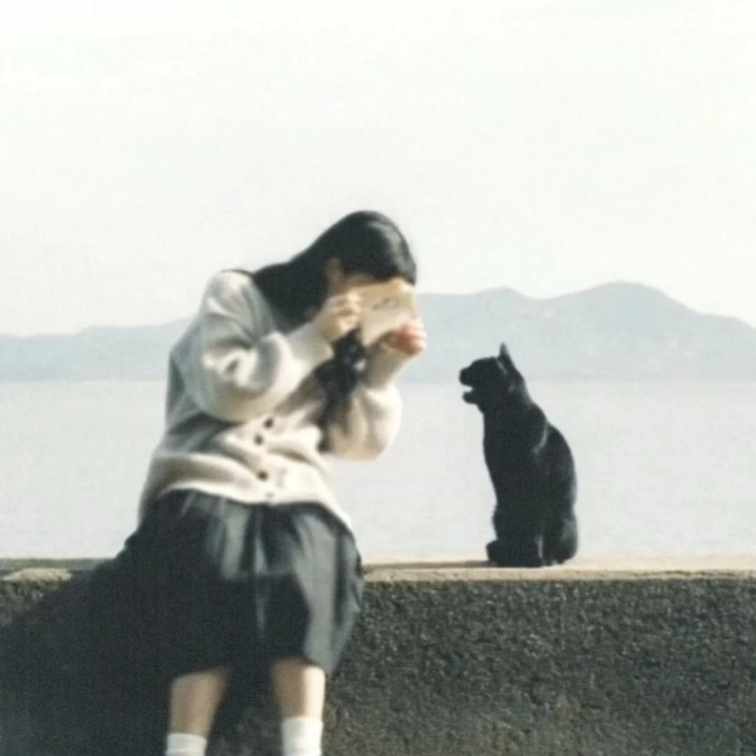 小岛吹海风