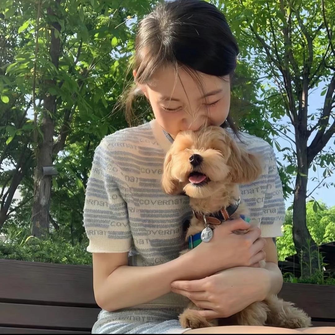 有点小米  •ㅅ<