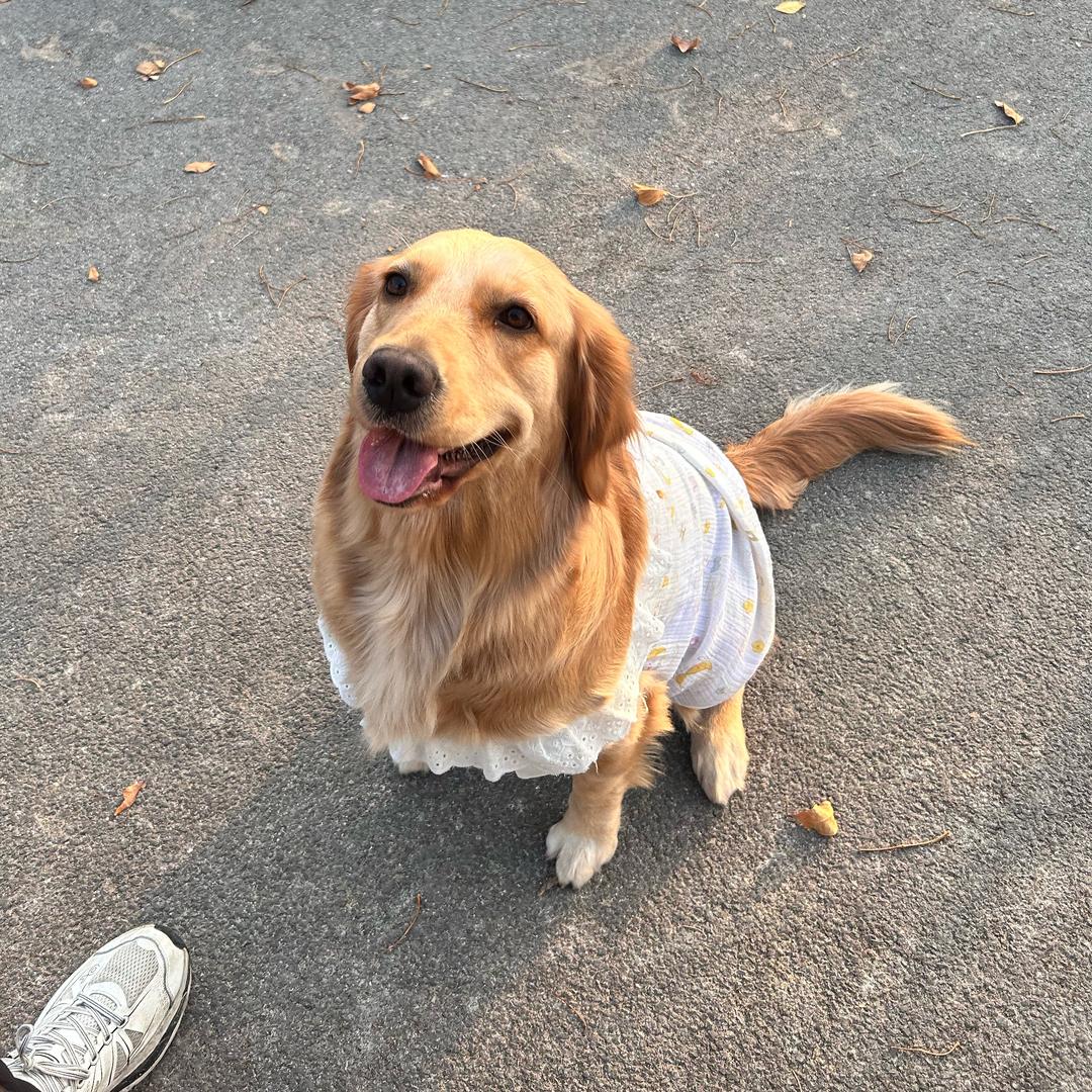 ꪔ͈̮   ꪔ̤̫    ꪔ̤̱