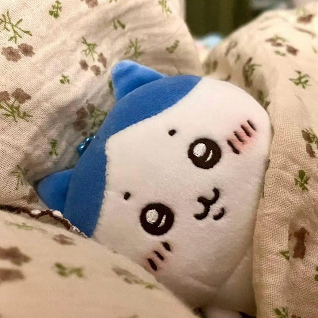 一次性小肥