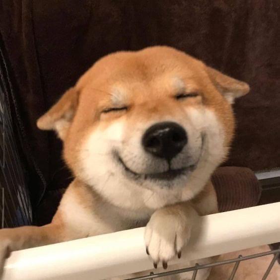 恶魔密密麻麻