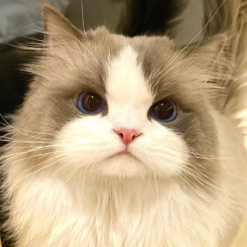 沐瑾.