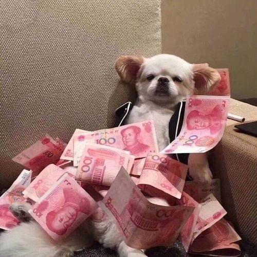 毛子收房（上饶）