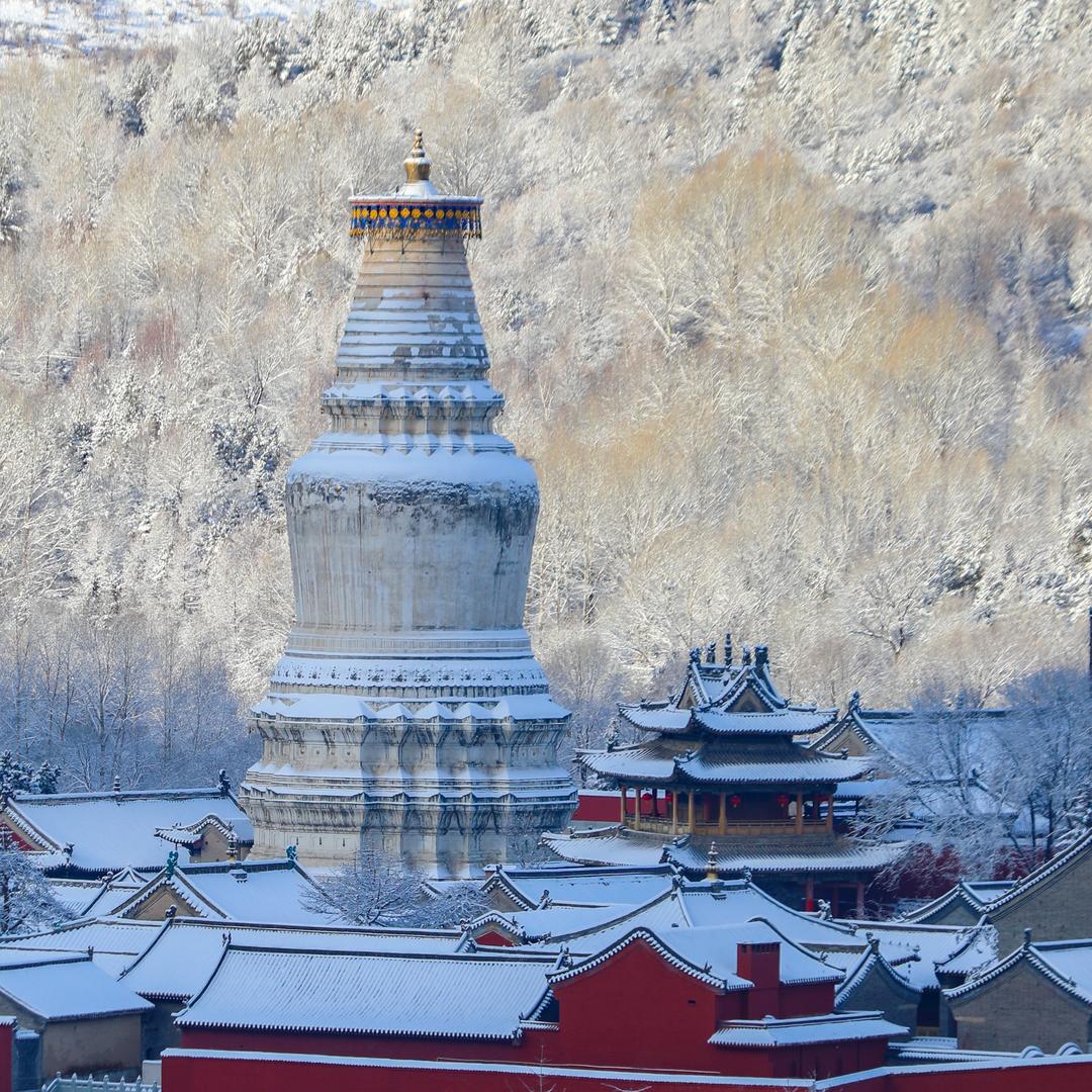 五台山导游小郑