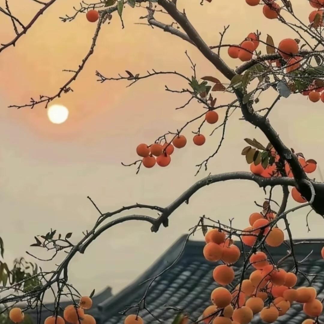 极速尝鲜海味